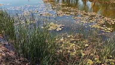 风景湖水4K高清实拍视频素材视频的预览图